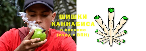 гидра Приозерск