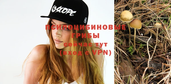 синтетический гашиш Балахна
