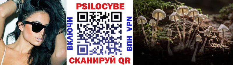 Галлюциногенные грибы Psilocybine cubensis  купить наркотик  Горячий Ключ 